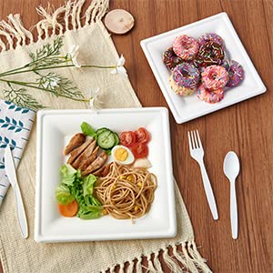 ECOLipak 120 Pack Compostable Paper Plates, 10 inch and 8 inch Heavy Duty Eco friendly Sugarcane Biodegradable Disposable Square Plates for Party