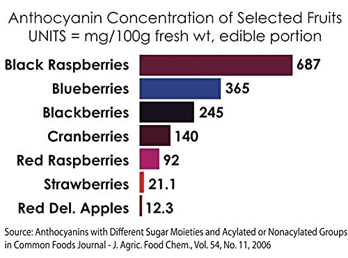 BerriHealth 100% Authentic Oregon Black Raspberry Extract - Made in The USA - 100 Grams - Gluten-Free, Vegan, Non-GMO