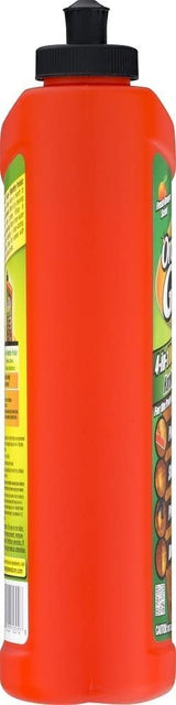 Hardwood Flr 4n1 24oz