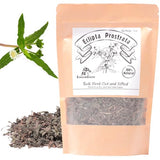 EidolonGreen [Chinese Herbal Medicine] Eclipta Prostrata (False Daisy/han lian cao/???) Herbal Tea - Organic Dried Herbal Tea, 60g (2oz)