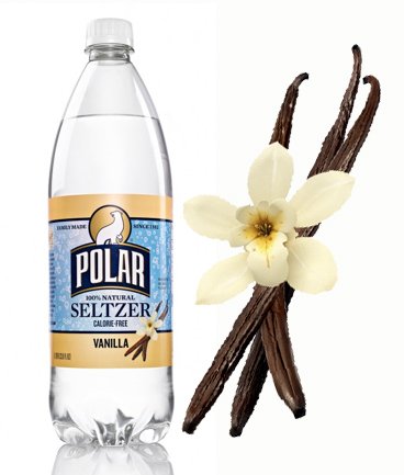 Polar Beverages Seltzer - Vanilla - Case of 12 - 33.8 fl oz