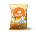 Big Train Dragonfly Mango Blended Crème Beverage Mix, 3.5 Pound (Pack of 1)