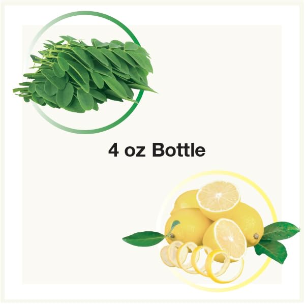 Deuce Truce - Lemon and Bay Leaf (Poo-Losi) - 4 fl oz - Before Your Go Toilet Spray - Strong, Effective, Easy to Use