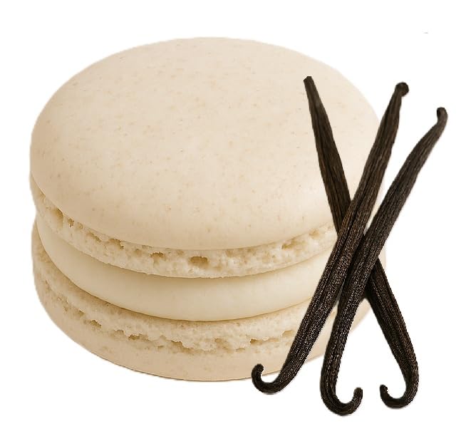 LeilaLove Macarons 15 Blue and white Macarons