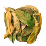 Soursop Leaves Graviola - Premium Dried Herbal Tea Leaves | Annona Muricata | Natural Wellness Infusion