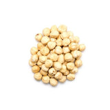 Filberts (Hazelnuts) - Raw, Blanched - 5 lb. Box