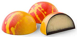 48 Exotic Gourmet Chocolate Bonbons