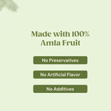 Supplfoods Organic Amla Powder 200g (7.05 oz) - Amla (Indian Gooseberry) Powder | USDA Organic Superfood Supplement for Digestion, Immunity & Skin