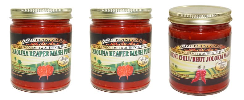 2 Carolina Reaper Pepper Mash + 1 Ghost Pepper Mash!!! The Hottest Peppers!
