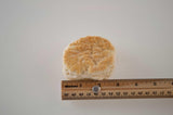 General Mills Pillsbury Baked Southern Style Biscuit, 2 Ounce -- 120 per case.