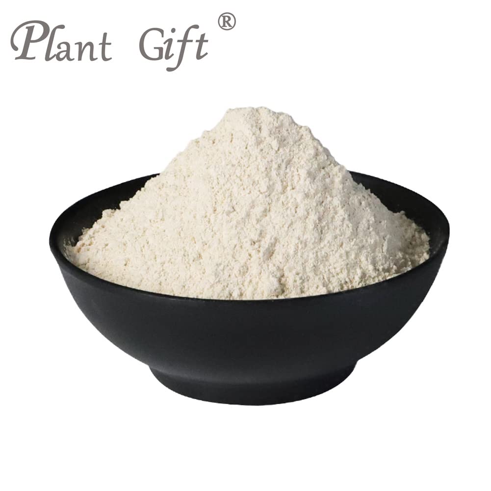 Plant Gift 100% Pure Angelica Dahurica Powder ??? Natural Angelica Flour, Dong Quai Root Powder for Drinks, Adds Flavor and Taste Non-GMO Powder, No