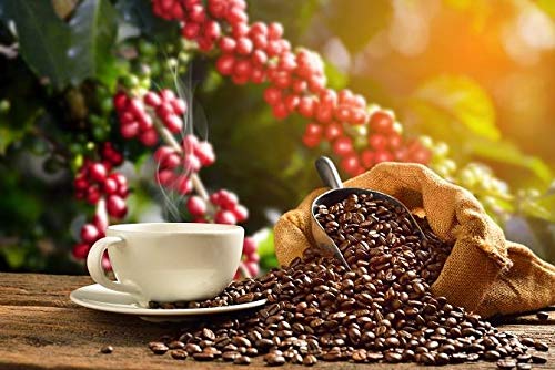 KA'U COFFEE BLEND WHOLE BEANS (MEDIUM DARK ROAST, 12 OZ)