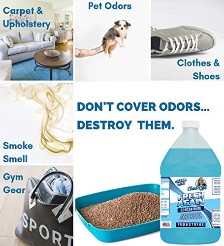 Chem-Girl | FRESH AGAIN Odor Remover & Deodorizer - Neutralizes Foul Odors in Upholstery, Carpet, Air, Shoes, Rugs, Clothes, Dog Beds, Litter Boxes |