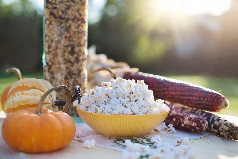 1000 SPRINGS MILL - Organic Popcorn 25lb Bulk Bag - Healthy Snacks for Microwave or Stovetop - Bulk Dry Pop Corn Kernels - Vegan Friendly