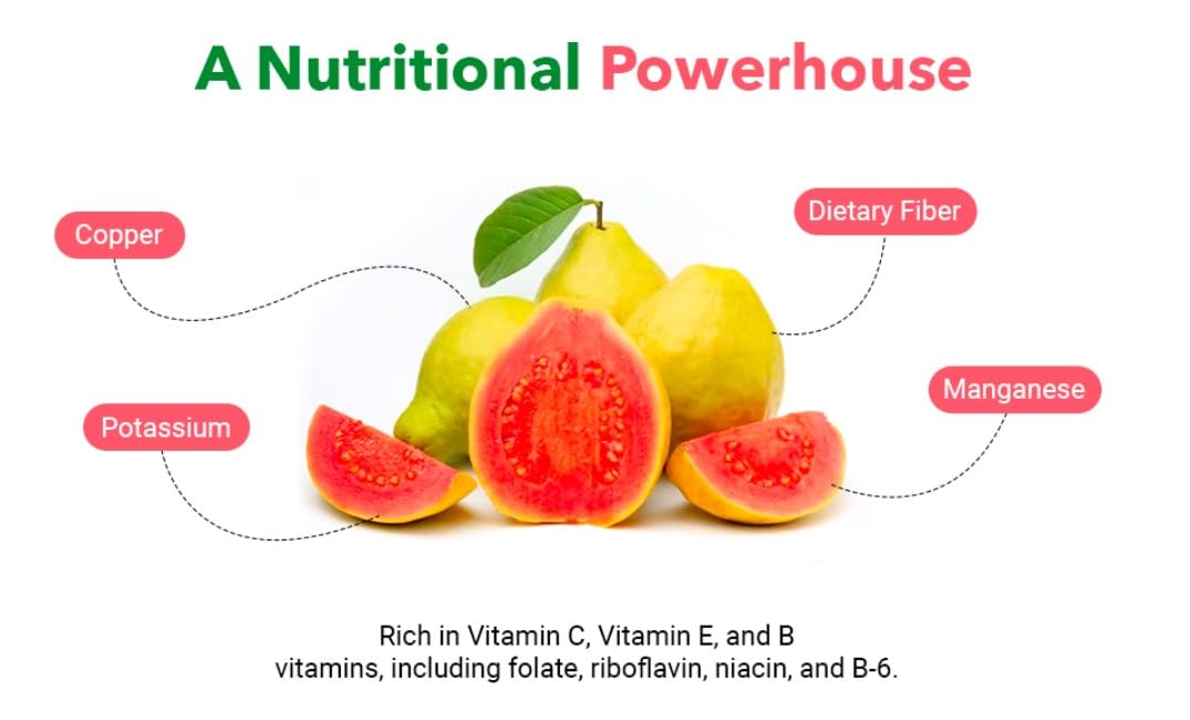 Pink Guava Fruit Powder (1 lb Bag), Unsweetened, Non-GMO, Vegan and Gluten Free (16 Oz - 1 Pack)