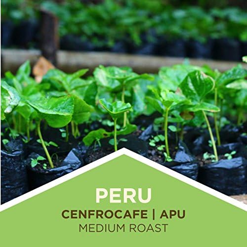 Tiny Footprint Coffee - Fair Trade Organic Peru APU Medium Roast - Whole Bean Coffee, USDA Organic & Carbon Negative - You Drink Coffee, We Plant