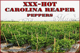 MASH Carolina Reaper Pepper,9 oz
