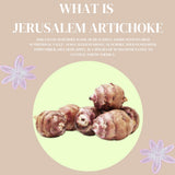 Jaaein Jerusalem Artichoke Tea, No Sugar, Caffeine Free, Gluten Free, Vegan, Low Temperature Aged (50 Tea Bags) Product of KOREA