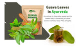 Guava Whole Dry Leaves 2.65 oz(75 grams), Loose Leaf Tea, 100% Pure Leaves