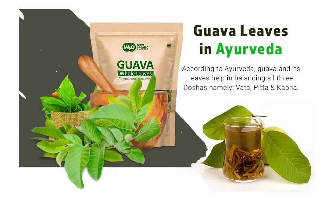 Guava Whole Dry Leaves 2.65 oz(75 grams), Loose Leaf Tea, 100% Pure Leaves