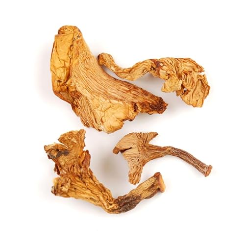 Essential Spice Dried Chanterelle Mushrooms - Whole, Golden & Earthy Flavor - Gourmet Quality for Sauces, Risottos, Pasta & Game Meats - Easy