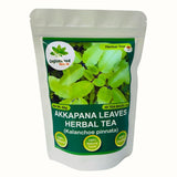 Organic Kalanchoe pinnata Leaves Tea, miracle leaf air plants Bryophyllum Pinnatum Herbal Tea, 40 Tea Bags/ 1.5g