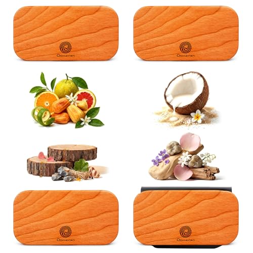 Car Air Freshener - Wood Air Freshener for Visor Clip - Long Lasting Car Odor Eliminator - Vehicle Scent Diffuser - (Coconut - Tropical Garden - Stone