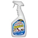 Instant Power Stain and Odor Remover - Carpet Stain Remover Spray, Safe for Pets, Cleaning Sprays and Supplies, Lavender-Mint Scent - 32 Fl Oz