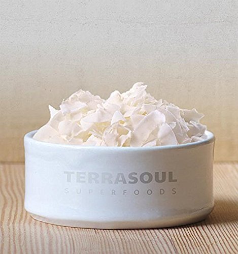 Terrasoul Superfoods Raw Coconut Chips (Organic), 2.25 Lbs (3 Pack)