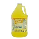 Glass Gleam Solar - Solar Panel Cleaner - Highly Concentrated - 1 Gallon Makes 500 Gallons of RTU Product (1 Gallon)