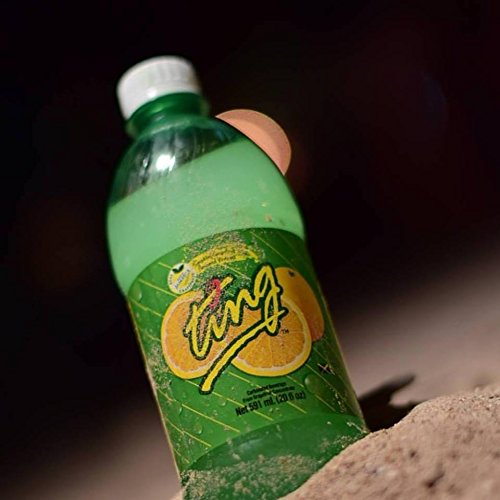 Ting Lightly Carbonated Soda, 20 Oz, (Pack of 24)