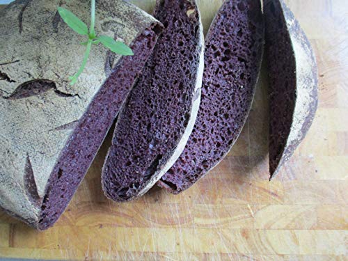 Heirloom Organic PURPLE CORN 16 oz (1 lb.) Powder Cornmeal Flour for Baking, Smoothies, Cornbread, Tortillas, USA Stone Ground Milled