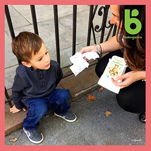 Babyganics Baby Wipes, 80 CT