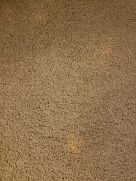 Bleachstain® Precision Carpet Spot Dye Kit | Bleach Stain Repair Kit | for Spots and Drips Smaller Than Pea Size | for Medium Beige, Gray, tan