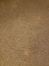 Bleachstain® Precision Carpet Spot Dye Kit | Bleach Stain Repair Kit | for Spots and Drips Smaller Than Pea Size | for Medium Beige, Gray, tan