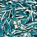 Blue Sharks Gummy Candy | 2 Pound Bag | Fruity Shark Gummies | Soft Chewy Gummy Fish for Parties, Candy Buffets, Themed Events | Blue Raspberry