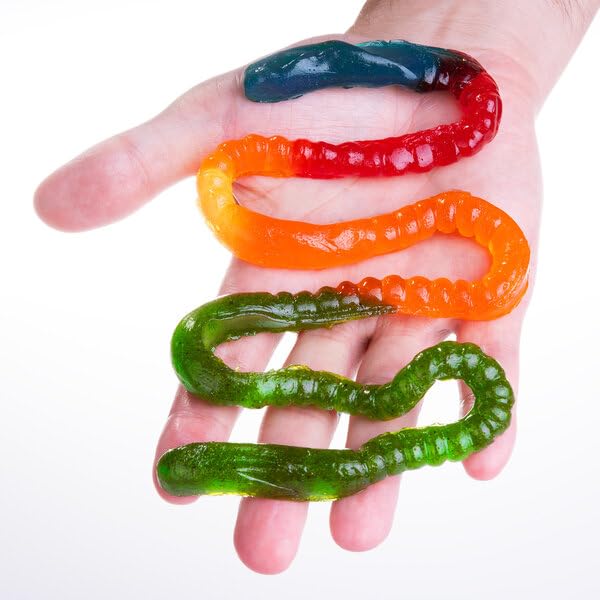 The Gummy Fireworm™ - Two feet of increasing spiciness