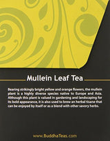 Buddha Teas Mullein Leaf Tea, 18 Count (Pack of 6)