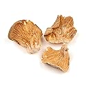 Essential Spice Dried Organic Oyster Mushrooms, 5 lb - Whole, Delicate Umami Flavor, Premium Quality - Ideal for Stir-Fries, Soups, Sauces & Broths