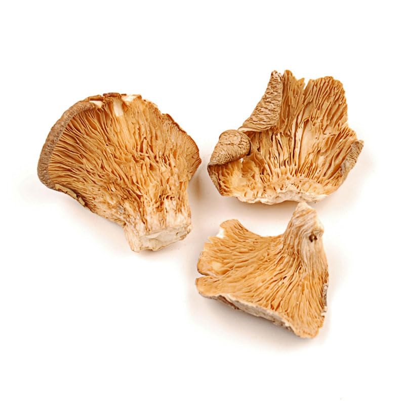 Essential Spice Dried Oyster Mushrooms - Whole, Delicate Umami Flavor, Premium Quality - Ideal for Stir-Fries, Soups, Sauces & Broths - Easy