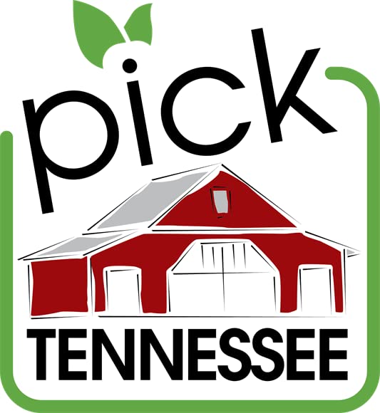 Merritt-Pop Tennessee Microwave Popcorn (Kettle)