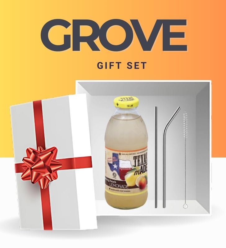 Lemonade 16oz Bundle with Reusable Straw - Refreshing Peach Lemon Beverage with Natural Flavors for Easy Serving - Gift Set (2 Items)