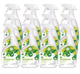 Jani-Source Sporelok Mildew Stain Remover, Heavy Duty, Ready To Use Spray, Fragrance Free 1 Quart (Case of 12)