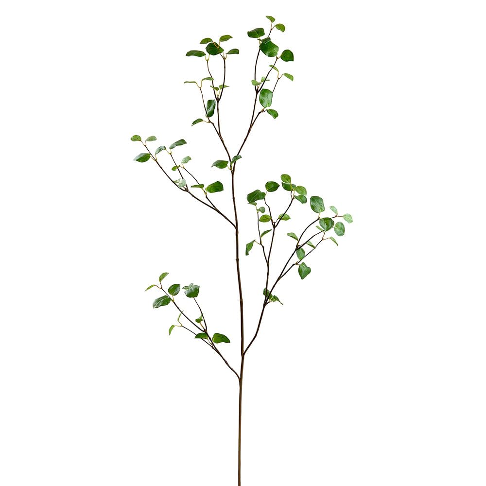 SilksAreForever 61in Silk Bay Leaf Stem -Green (Pack of 12)