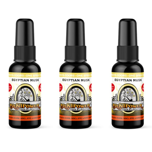 Blunt Power Air Freshener Spray, Oil Based Concentrated Air Freshener and Oil Diffuser, Air Freshener Spray for Car, Room, Bathroom, Odor Eliminator