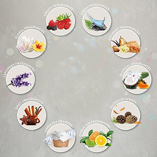 Airwick Freshmatic Automatic Spray Refills, Sparkling Citrus, 3 Refills