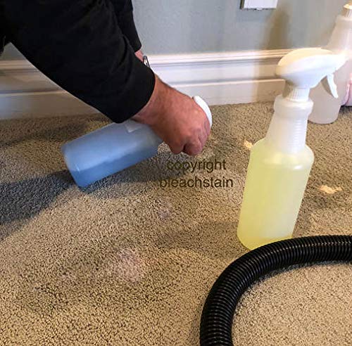 BLEACHSTAIN® Homeowner’s Carpet Spot Dye Kit™ | Restores Carpet Color | Repair Discoloration from Bleach Stains, Acne medications, or Chemical Marks