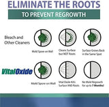 Vital Oxide Disinfectant, Deodorizer, Cleaner, Food-Contact Sanitizer, Virucide - (EPA registration #82972-1) - Kills Mold & Mildew, Eliminates Odors