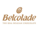 Gift Bag of Dried Apricots dipped in Belgian MILK Chocolate, 10 OZ