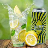 James Lemonade Original Lemon Juice 16oz (12 Pack) - Original Recipe w/Fresh Mint since 1998 - Plastic Juice Bottles - 100% Natural Lemonade Flavor